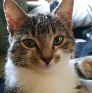 Meet your Posher, Becky